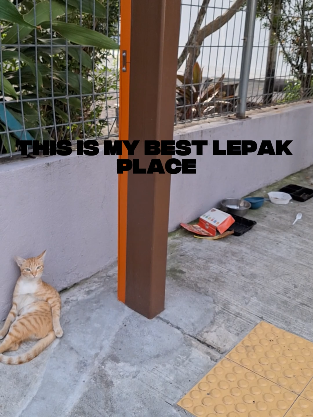 #oyen #comel #catlover #catlovers #malaysiatiktok #fyp #lepakasia #malaysia #oyencuriselipar  #kualalumpur #kl #travel #explore #fypシ゚viral🖤tiktok #cat #klsentral #petalingstreet #pasarseni