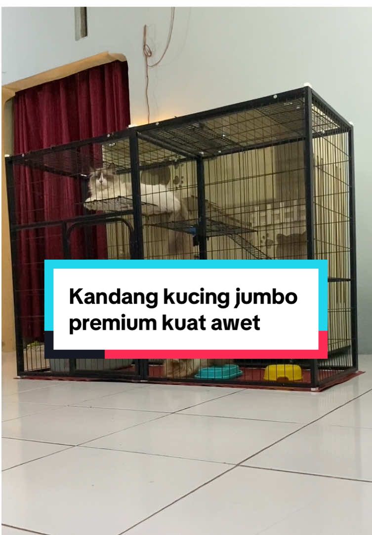 Kandang kucing jumbo premium kuat awet dari papapet #kandangkucing #kandangkucingmurah #kandangkucingjumbo #kandang #papapet 