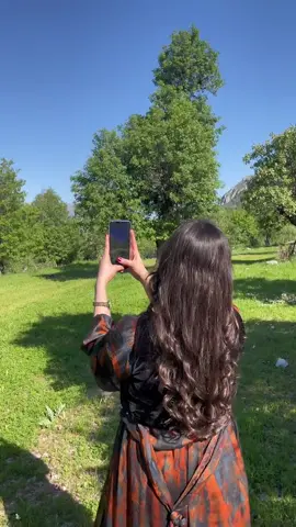 #kurdistan 