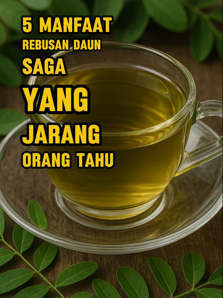 5 Manfaat Rebusan Daun Saga