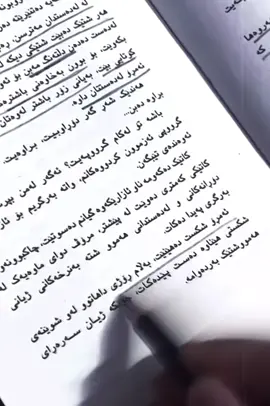 #fyp #foryou #foryourpages #fypシ゚viral #kurdistan #hawler_slemani_dhok_karkuk_hallabja #اربيل #العراق #الکسبور 