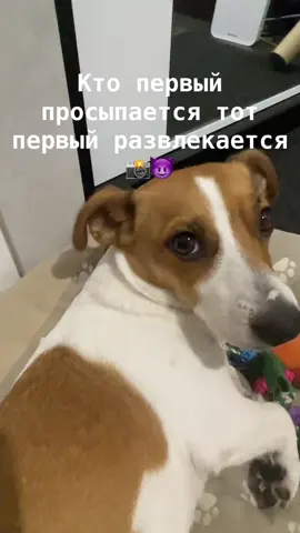 🤑