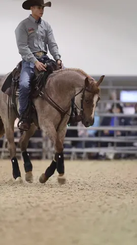 Q&A: How to Decide Which Schooling Shows to Take Horses To Clinton answers: How do you decide what schooling shows to take your horses to? Do you plan out your competition year in advance, or do you just decide on a whim what shows to go to? Have a question? Email it to journal@noworriesclub.com #applythemethod #downunderhorsemanship #clintonanderson #horse #qanda 