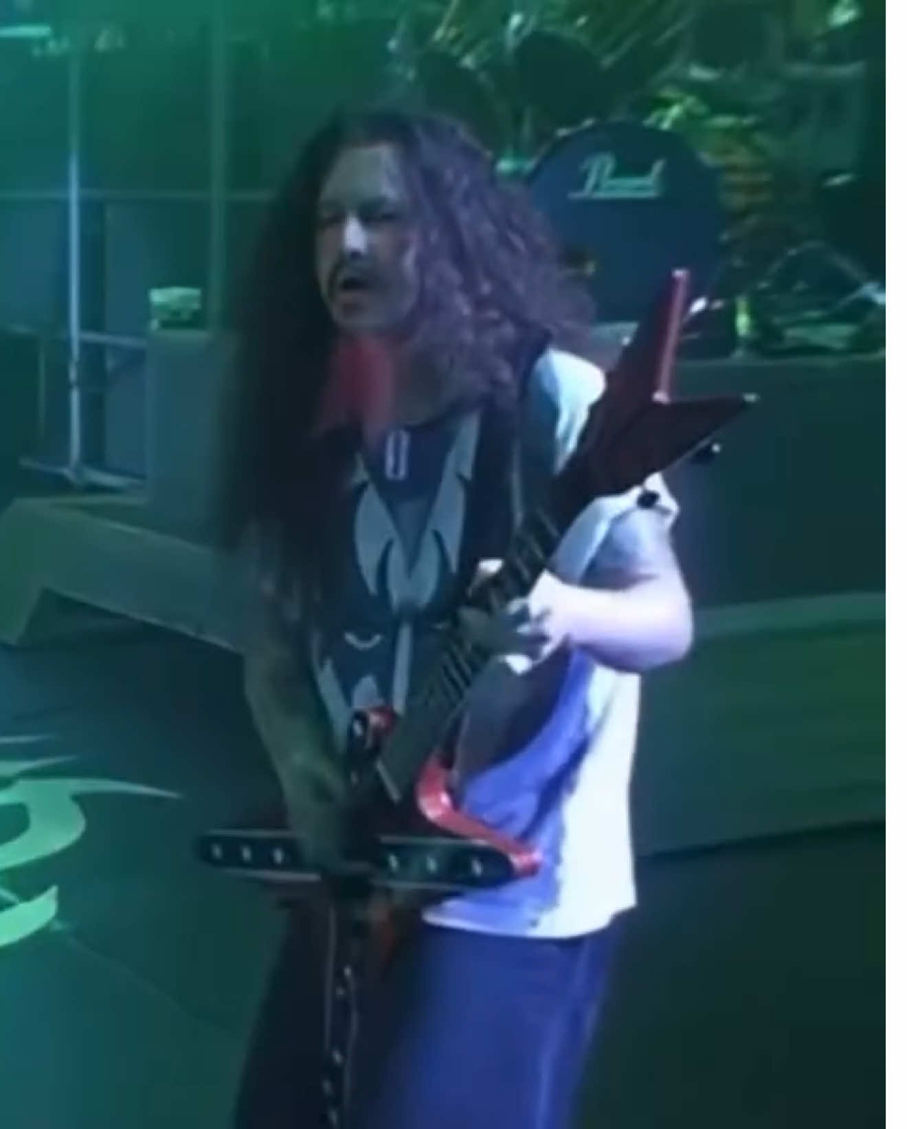 Pantera-War Nerve, live in kalamazoo, 08/12/1996 #pantera #dimebag #dimebagdarrell #heavymetal #fyp 