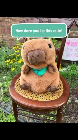 No matter what, you can always count on these weighted stuffies to be there for you, and make you feel better!   I love it for anxiety relief and grief relief.  #weightedplush #weightedstuffie #weightedplushie #lillyslove #lillysloveweightedstuffedanimal 