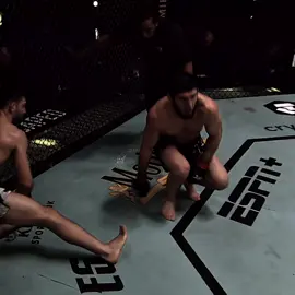 no fear 🐻 || #islammakhachev #ufcfighter #ufcedit #fyppppppppppppppppppppppp 