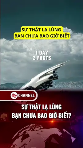 Sự thật lạ lùng bạn chưa bao giờ biết? #69channel #xuhuong #LearnOnTikTok 