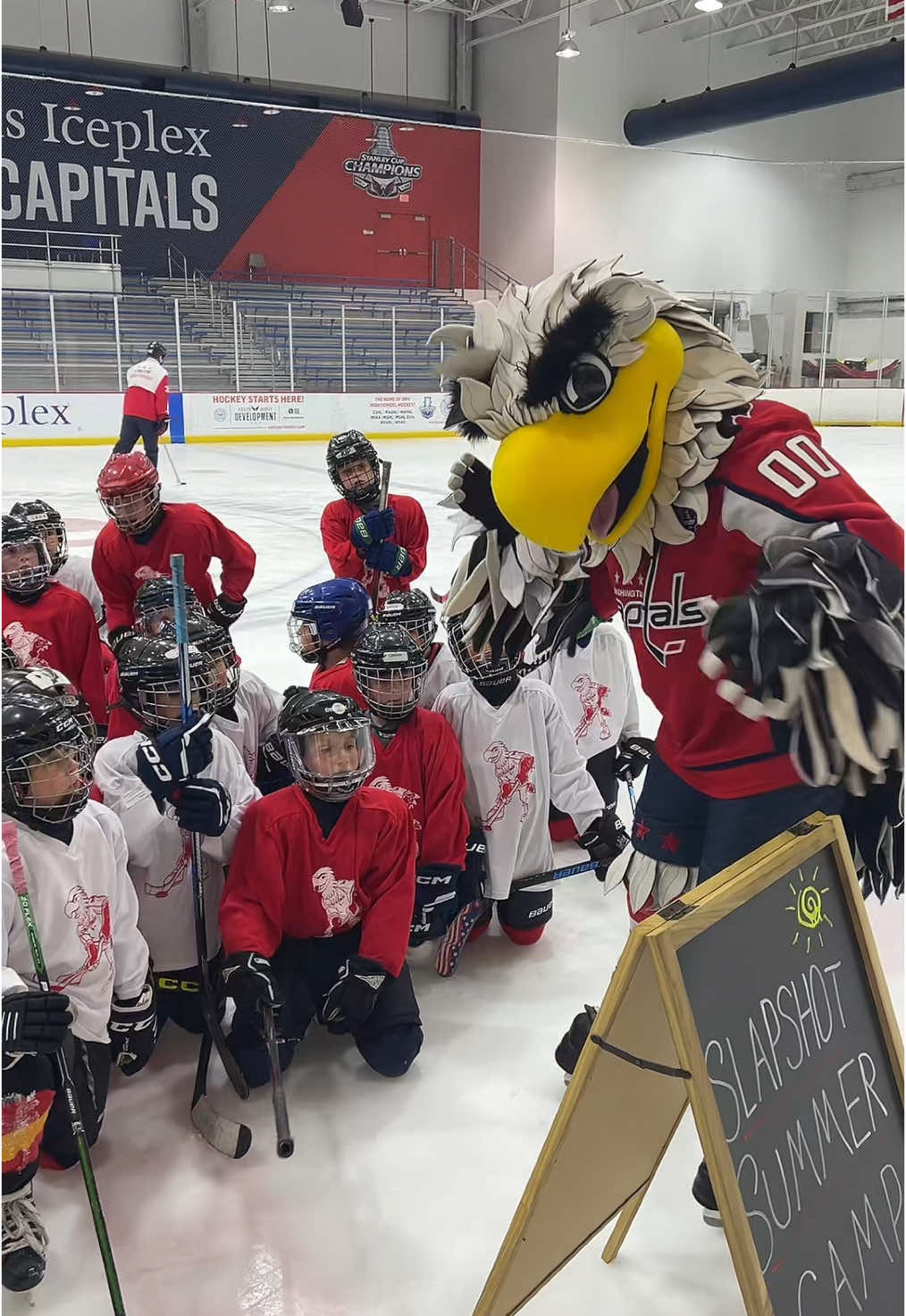 Happy Back to School to all the Mathletes! #capitals #NHL #mascot 