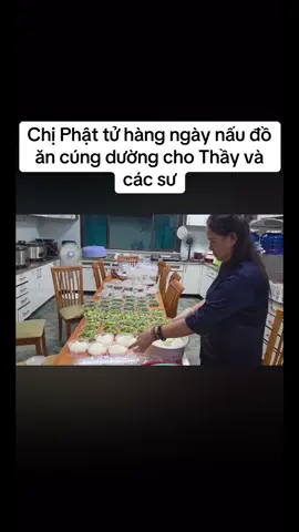 #phatphap #thayminhtue #thichminhtue 