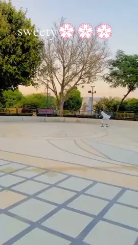 💮💮💮#foryou #foryoupage❤️❤️ #fypviralシ #growmyaccount #foryoupageofficial🌹🌹🌹🌹 #fypシ゚viral🖤tiktok #viralvideo🔥 