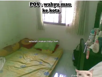 #meme #kucing #sedih #beranda #fyppppppppppppppppppppppp 