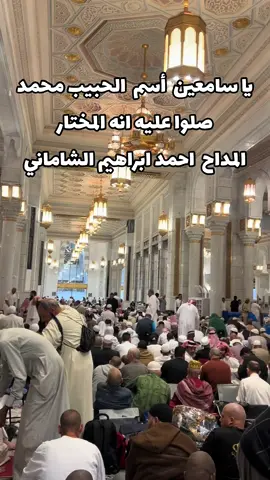 #العراق🇮🇶#الانبار🌹#القائم🌷# #fypシ゚viral #traveltiktoks #fypシ゚viral🖤video #الانبار🌹 