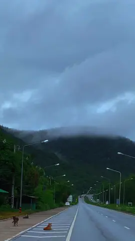 ให้ธรรมชาติดูแลเรา ให้เขาดูแลเธอ⛰️🌳🌳#เขาขาด #อุตรดิตถ์ #ธรรมชาติฮีลใจ 🌳