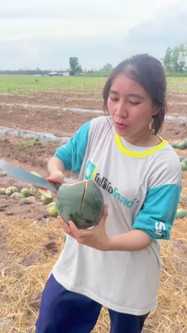 รับสักลูกไหมจ๊ะ กรอบหวาน แดงมาก🍉สาวสวนแตง #เกษตรแตง #เปิดการมองเห็นtiktok 