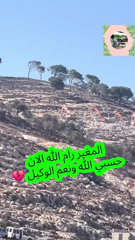 #المزرعة_الشرقية_تل_العاصور #ComfortSegredos #المغير_رام_الله #رامالله_نابلس_الاردن_عمان_اربد_القدس♥️✌ #رامالله_نابلس_الاردن_عمان_اربد_القدس♥️✌ 