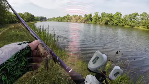 Did I get one? #fishtok #fishing #indiana #bankfishing #kayakfishing 