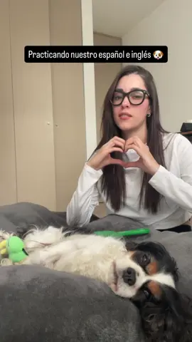 ¿Qué tal lo hizo Lulú?  #CapCut #spanglish #music #doggo #nyc 