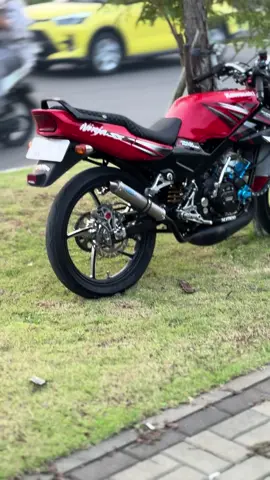 🤩🤩#fyp #ninjass #2stroke 