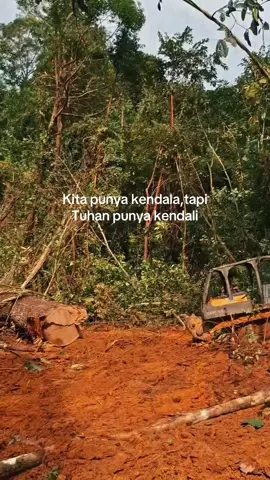 Bagian 163 kuli kayu balak #fyppp #CapCut #xybca #kabupatenkatingan #kalimantantegah 