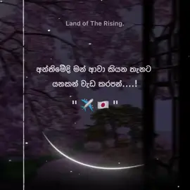 අන්තිමේදි මන් ආවා කියන තැනට  යනකන් වැඩ කරපන් ✈️ 🇯🇵  #land_of_the_rising_sun🌅 #Japan #tokyo #froyou #frouyoupage #スリランカ🇱🇰日本🇯🇵 #スリランカ #srilankan_tik_tok🇱🇰 #fyppppppppppppppppppppppp #fylpシ 