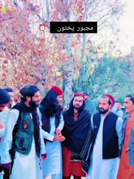 مشر مجبور پختون اورکزی 
