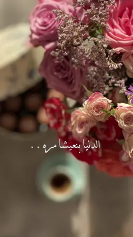#فضل_شاكر_#الجديدة #الدنيا_حلوة #فضلا_وليس_امرا_وشكرا_للجميع___🙂💚 #الشعب_الصيني_ماله_حل😂😂 @ابو جاسم الشمرى 