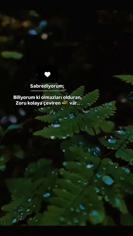 Senden âlâ doktor yok Ya Rabbim.. #keşfet 