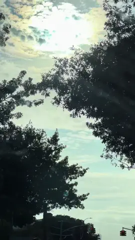 🎶🥀🎶