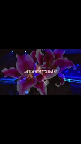 wildflower live is even more magical @BILLIE EILISH @FINNEAS #wildflower #hmhas #billieeilish #fyp #lyric 