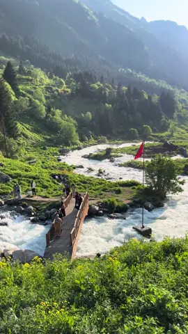 vinland.. #nature #beauty #turkey #vinland #aesthetic 