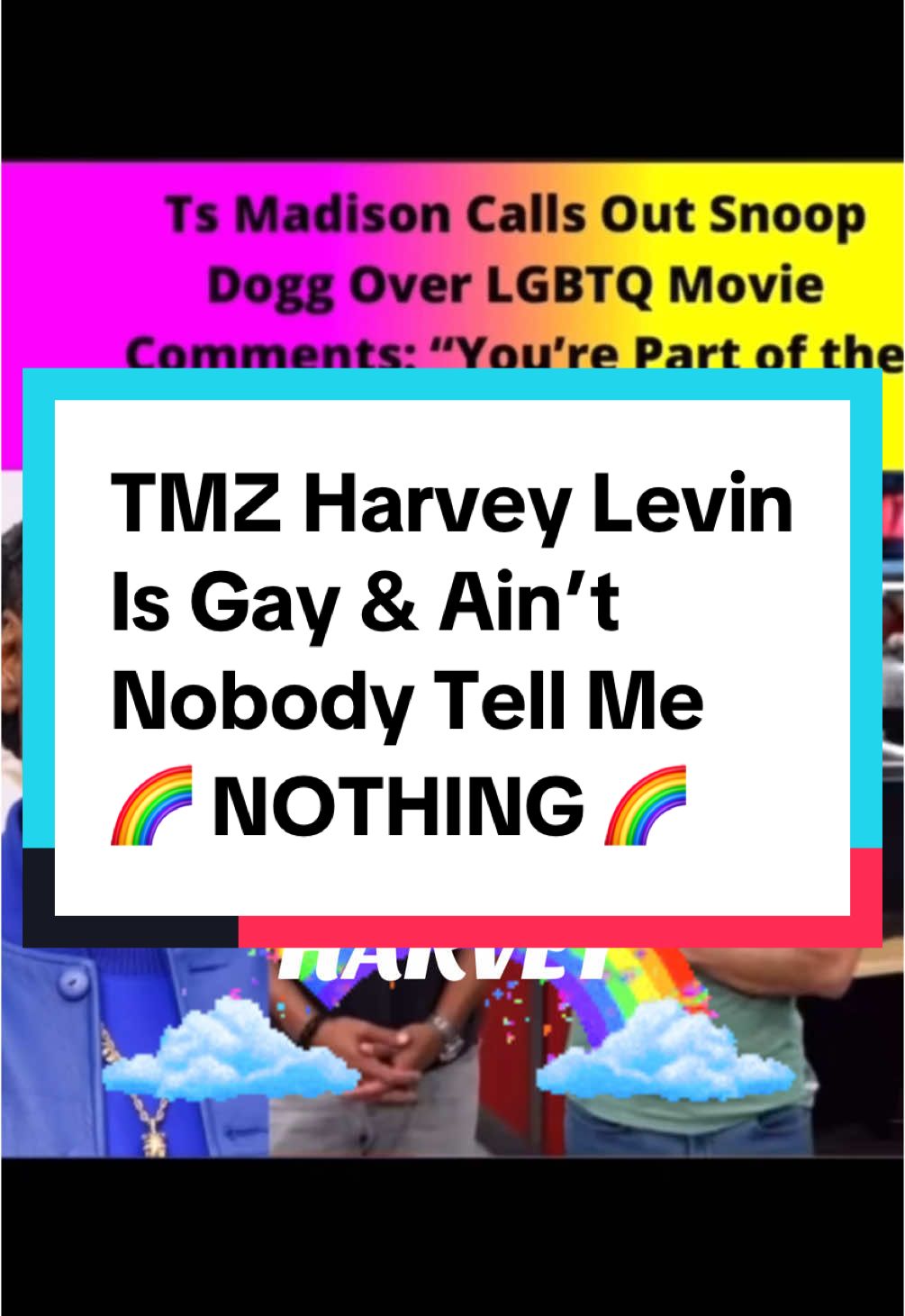 #stitch with @Dirty Laundry Tv 2 Inside Harvey Levin's TMZ | The New Yorker Yes, Harvey Levin, the founder and managing editor of TMZ, is gay. He publicly confirmed his identity as gay in 2010 and has been in a longtime partnership with Andy Mauer.#dkla1220 #burlesque #tmz I am a millennial I didn’t know.  Ts Madison / Snoop Dog 