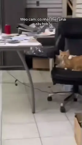 😆 #PetsOfTikTok 