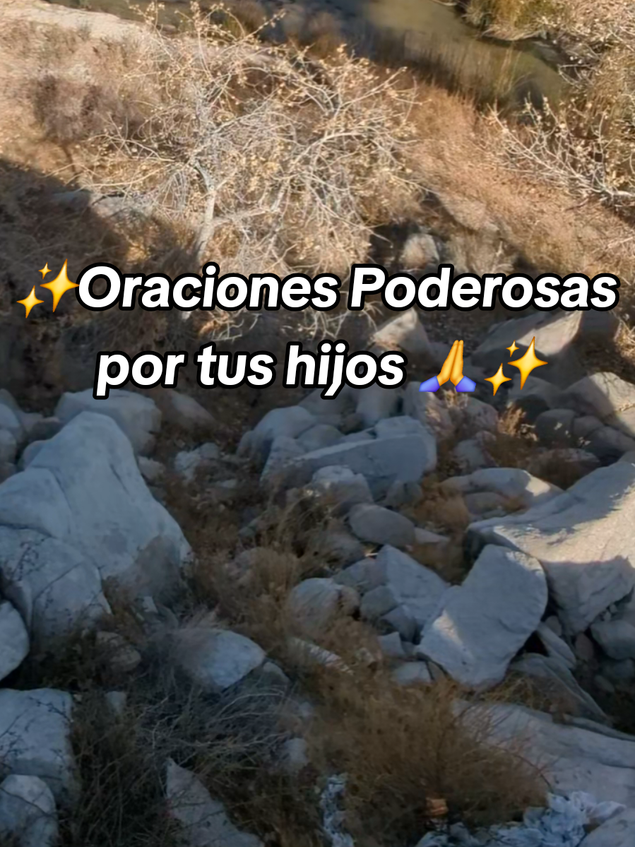 Oración por tus hijos #oraportushijos #hijos #oracionespoderosas #oracion #oraciones 