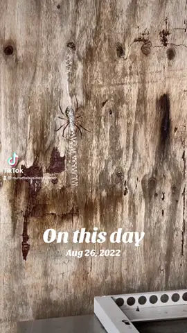 #onthisday 
