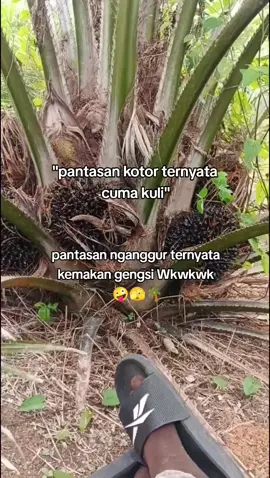 #kuli #sawit #fypシ゚viral #fy 