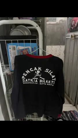 #pencaksilat #satriabhakti #bantengnuswantara 