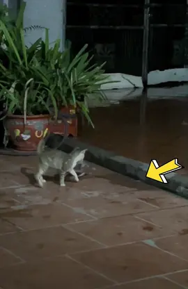 Lạ kỳ