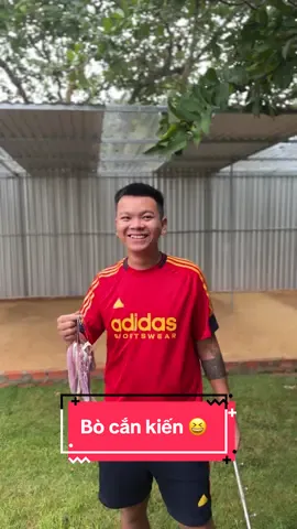 Đang làm thì trời mưa 😆 kiến trú mưa hết rồi ae ạ