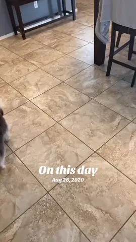 #onthisday 