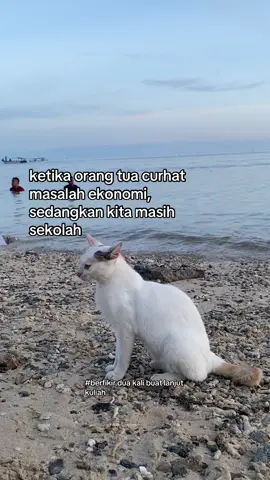 #fyp #masukberanda #bismillahrame #masalahekonomi #doaorangtua 