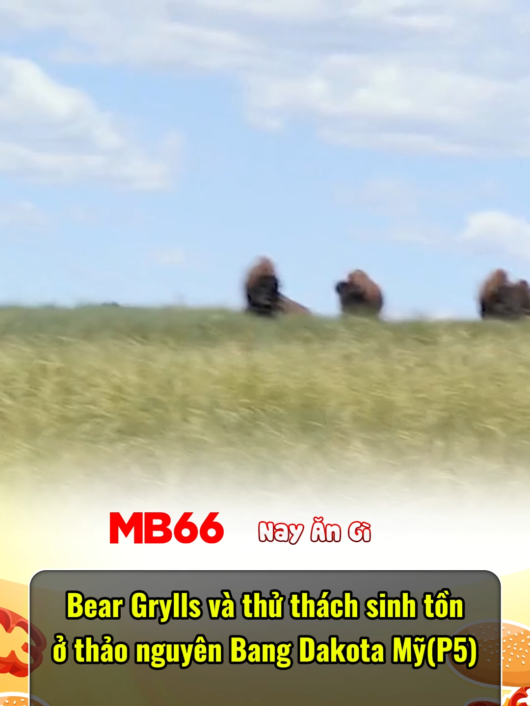 Bear sinh tồn Dakota-P5 #nayangi #sinhton #edstafford #xuhuong