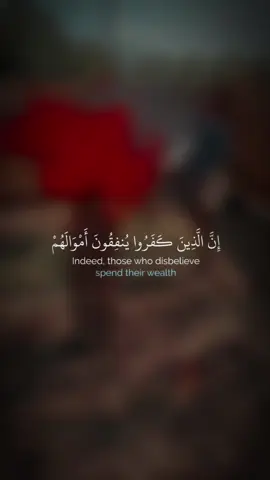 صورت فالنتينا غوميز، المرشحة الجمهورية للكونغرس من تكساس، فيديو مثيرًا للجدل تُشعل فيه النار في القرآن ،  مُعلنةً أن للمسلمين 