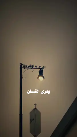 وترى الانسان #الوائلي_روح_المنبر #اكسبلورexplore  #tiktok 