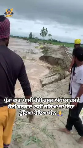 #amritpalsinghmehron🇺🇸🙏#khasria_05 #Lubana_ #SBS_⚔️ #waheguru🇺🇸🇺🇸👏👏         پنجاب Punjab  ਪੰਜਾਬੀ ਪੰਜਾਬੀਅਤ ‎ پنجاب# پنجاب پنجابی پنجابیت