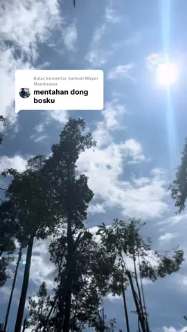Membalas @Samuel Mayor Mambrasar ##ni bang metahan nya udah ya🙏🆗