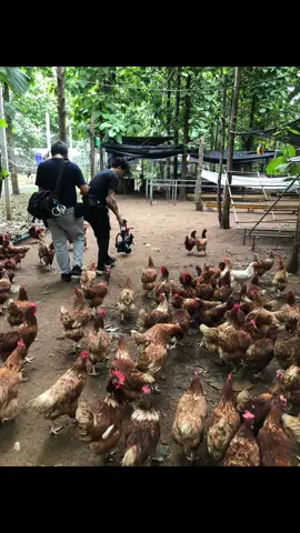 เกษตรมหิดล โลดแล่นบนแผ่นฟิล์ม   พาโลดแล่น… SMART Farmer| หลักสูตรสร้างผู้ประกอบการเกษตร  #เกษตรเพื่อสุขภาพและการประกอบการ #มหดิลนครสวรรค์ #SMARTFarmer #agripreneur #เกษตรมหิดล 