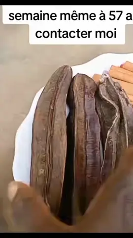 Avoir des grossesse 🤰 facilement grâce à nos traitement naturel#videoviral #menaupose #grossesse #fertilite #bebemignon 