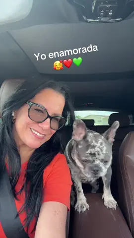 #frenchbulldog❤️💚Cookie🥰 