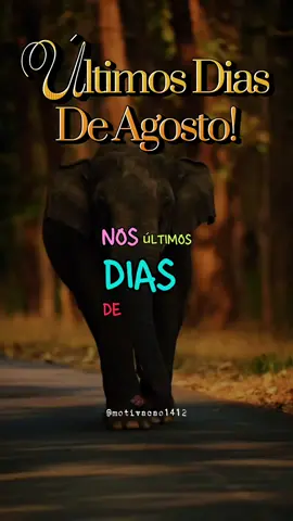 “Que os últimos dias de agosto sejam de reflexão, gratidão e esperança.”#CapCut 