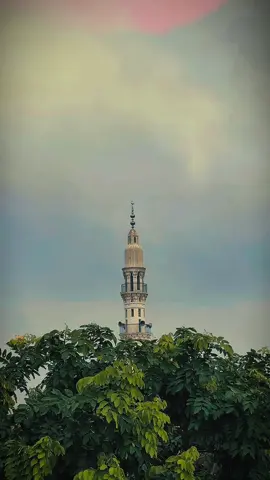 Hum tumhy iss qadar chahty hein 🫠❣️ #viral #poetrystatus #hkshots #fyp 